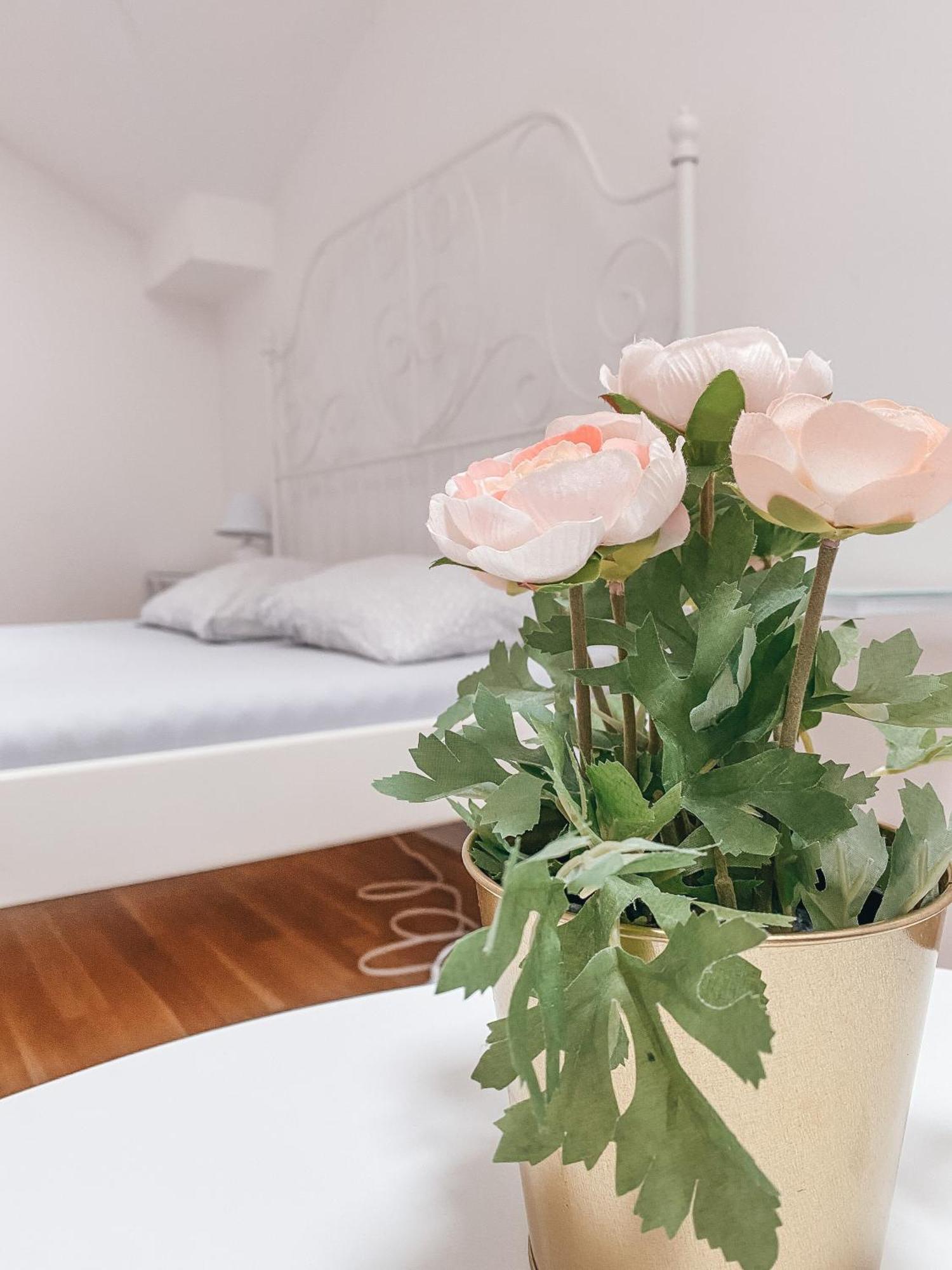 ברטיסלאבה Blue Lotus Apartments מראה חיצוני תמונה